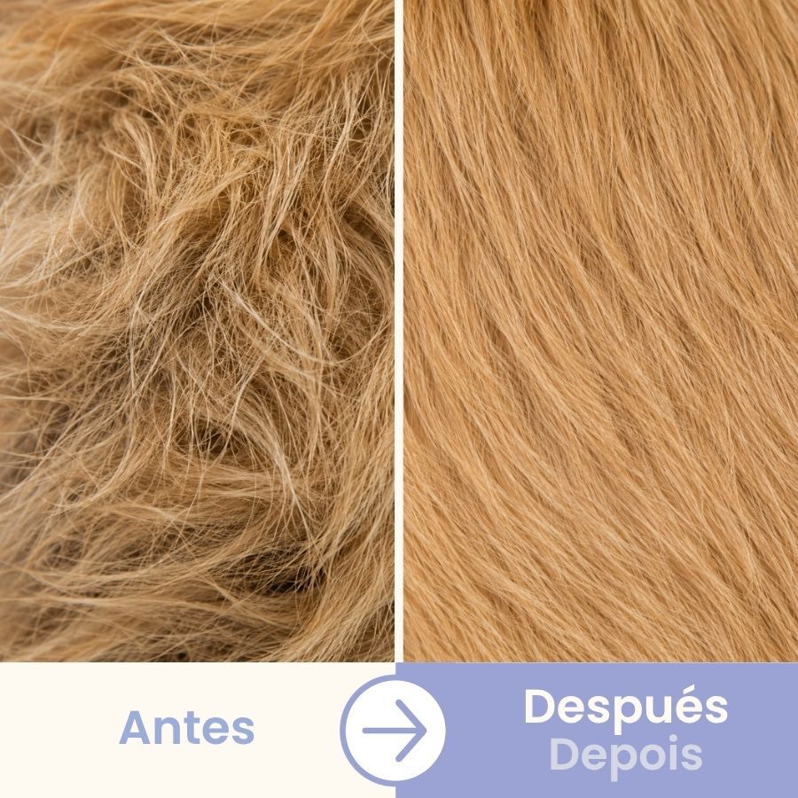 Bloob Cepillo P&uacute;as y Cerdas para perros, , large indicador imagen numero 5