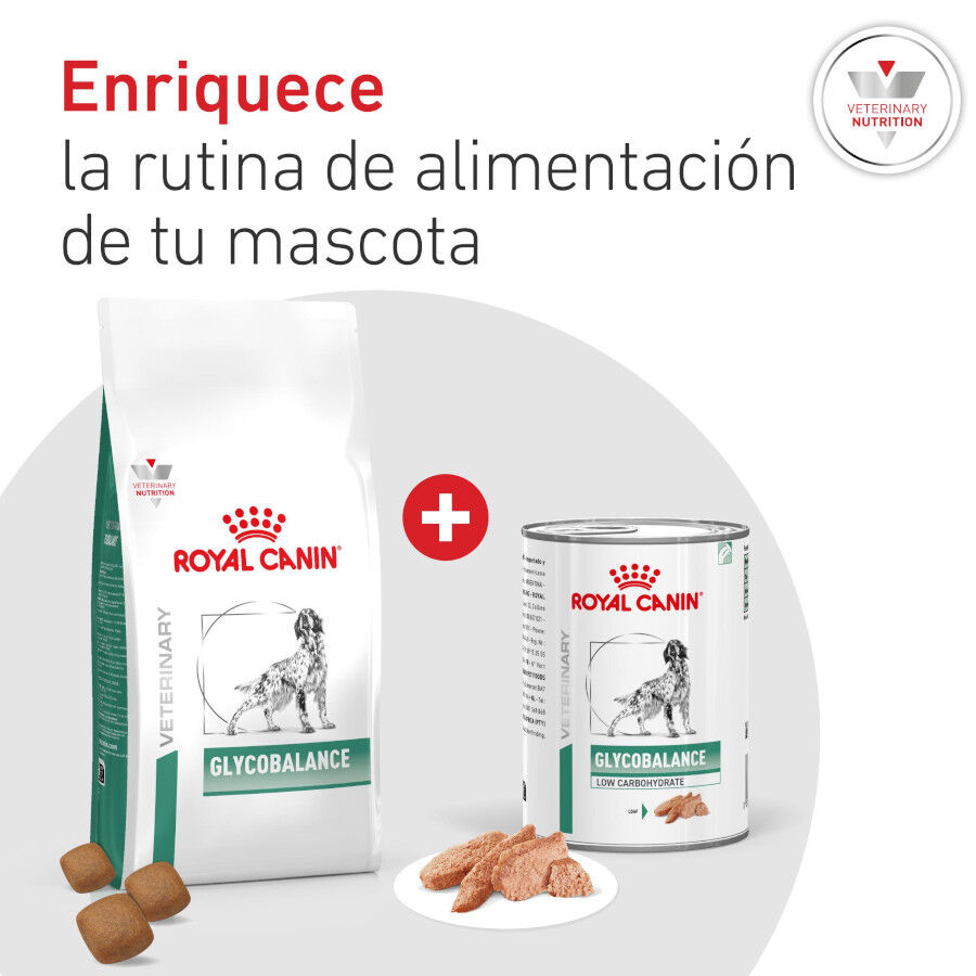 12 kg Royal Canin Veterinary Diabetic pienso para perros, , large indicador imagen numero 9