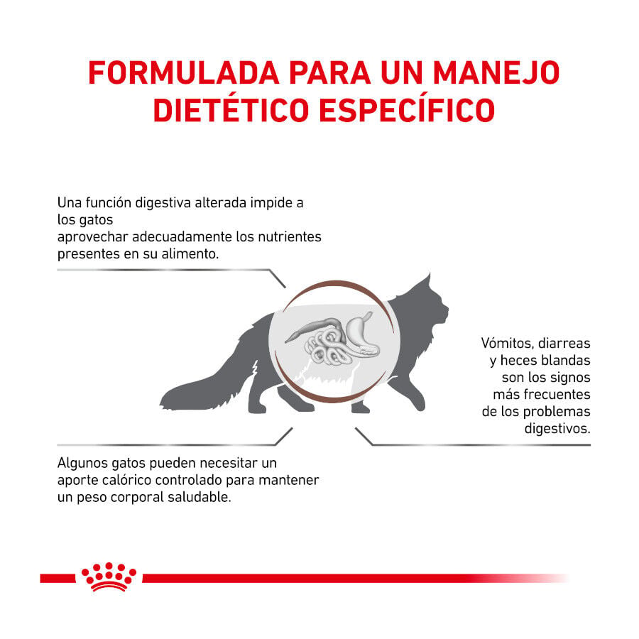 4 kg Royal Canin Veterinary Gastrointestinal Moderate Calorie pienso para gatos, , large Imagen numero 4