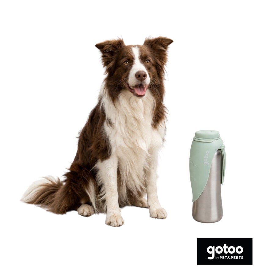 Gotoo Botella Bebedero Port&aacute;til de Acero Inoxidable Verde para perros, , large Imagen numero 7