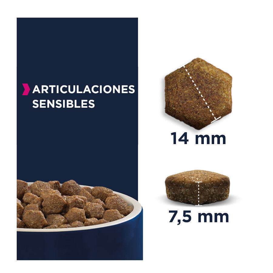 12 kg Eukanuba Daily Care Sensitive Joints Pienso para perros adultos, , large indicador imagen numero 2