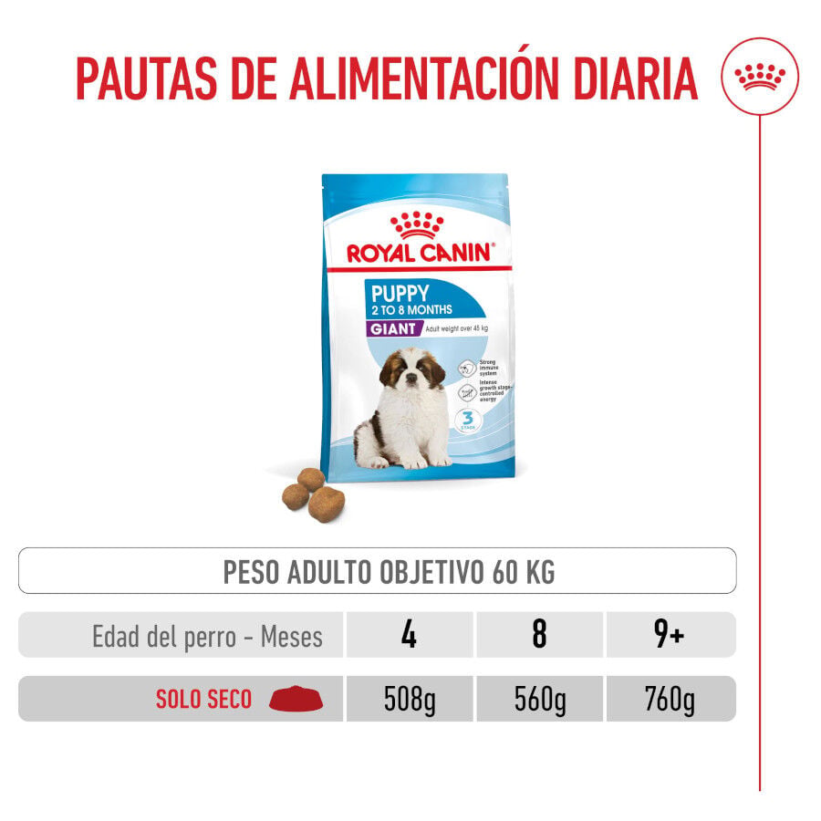 1 kg Royal Canin Puppy Giant pienso para perros, , large Imagen numero 6