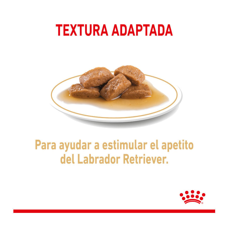 140 g Royal Canin Labrador Sobres para perros, , large Imagen numero 5