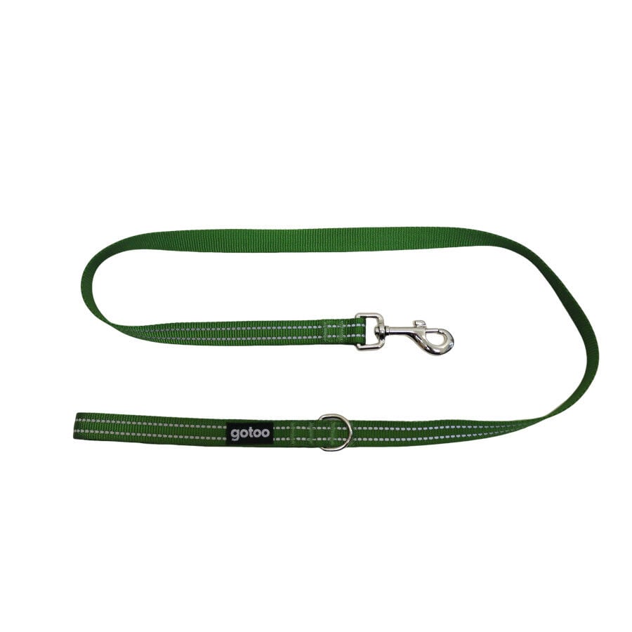 Gotoo Correa de nylon reflectante verde para perros, , large indicador imagen numero 1