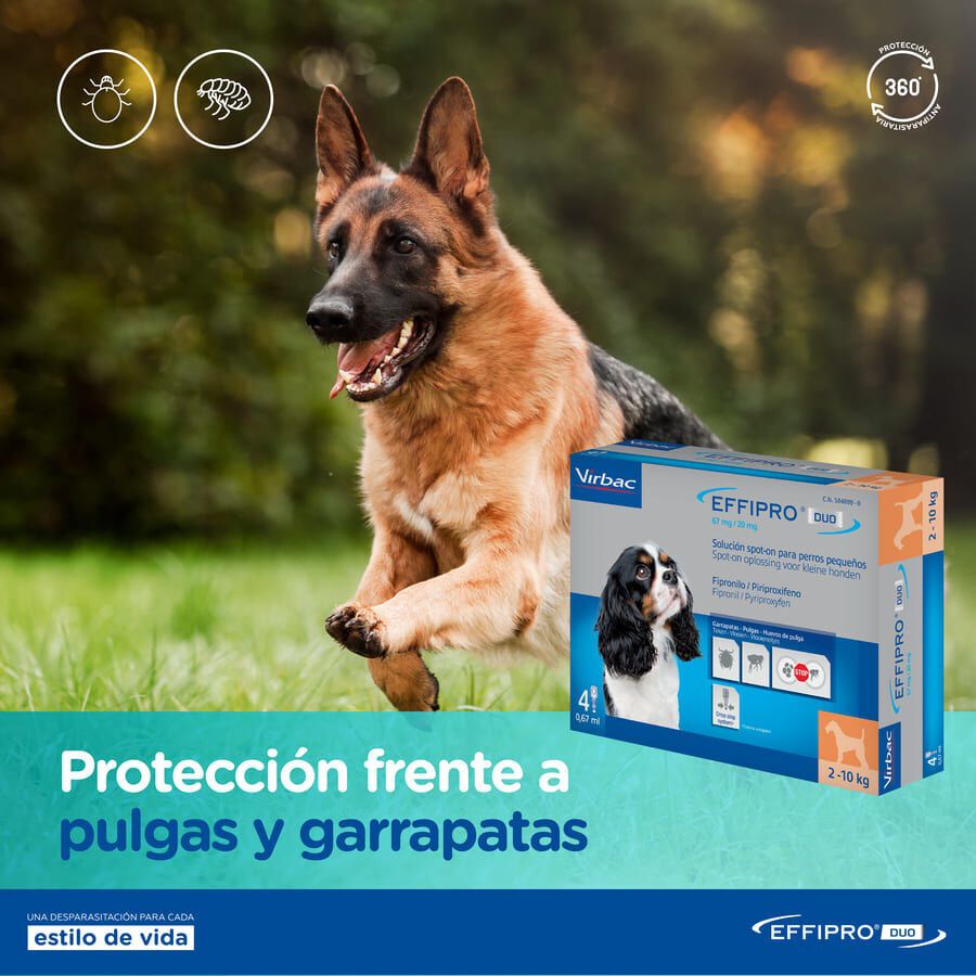 Effipro Duo pipetas antipar&aacute;sitos para perros, , large indicador imagen numero 7