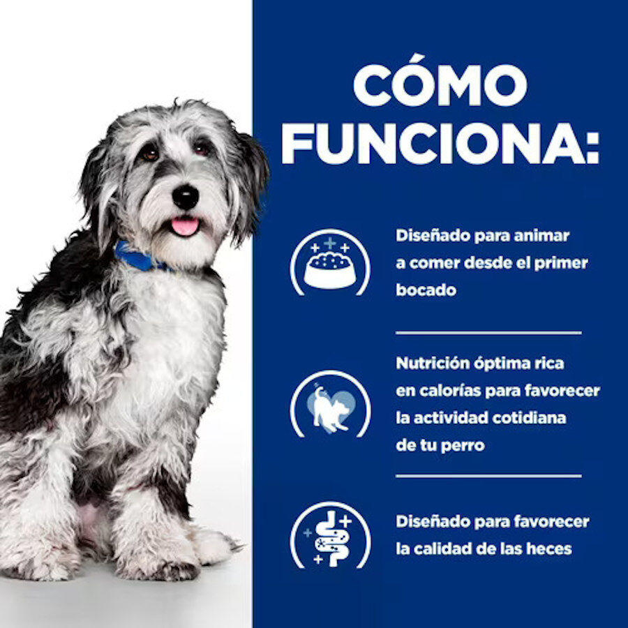 354 g Hill's Prescription Diet ON-Care Estofado de Pollo y Vegetales lata para perros, , large Imagen numero 4