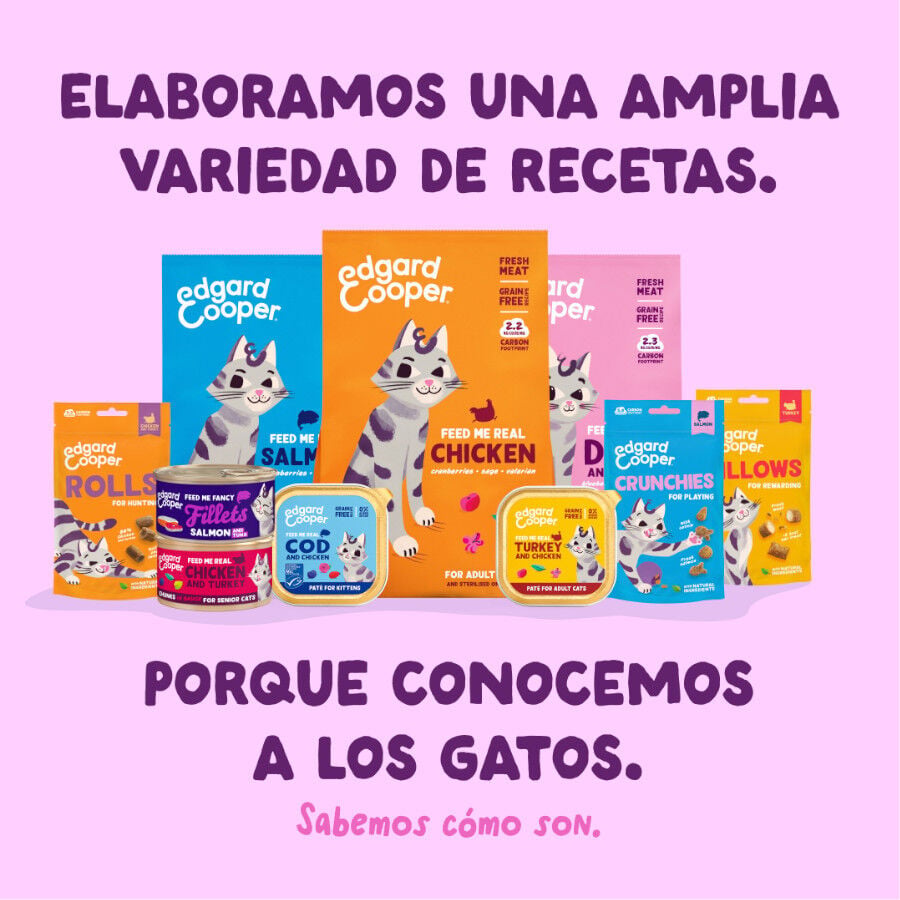 70 g Edgard & Cooper Filetes de Salm&oacute;n y Pollo Lata para gatos, , large indicador imagen numero 8
