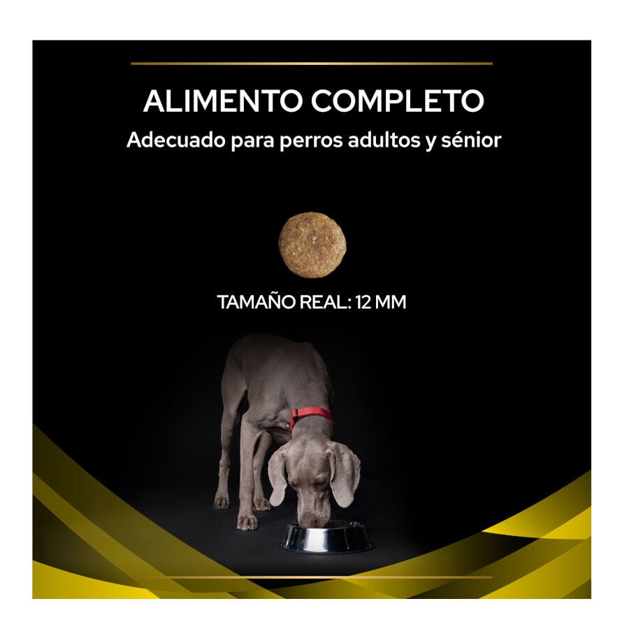 12 kg Pro Plan Veterinary Diets NC Neurocare pienso para perros, , large indicador imagen numero 3