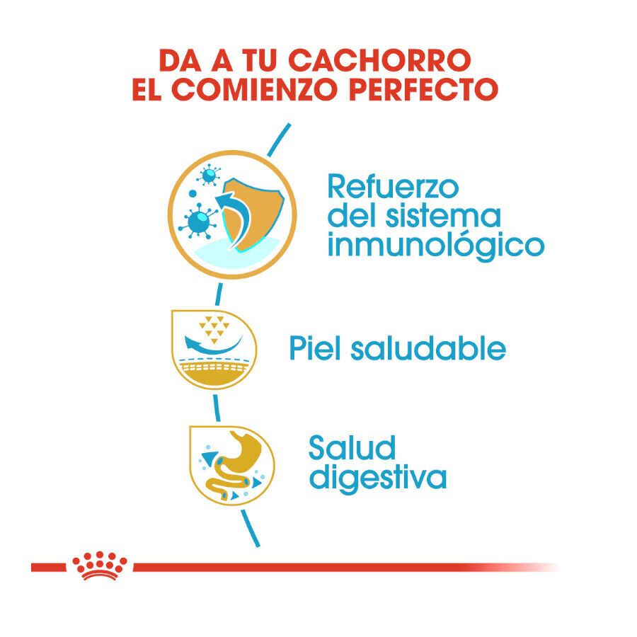 1.5 kg Royal Canin Puppy Pug pienso para perros, , large indicador imagen numero 6
