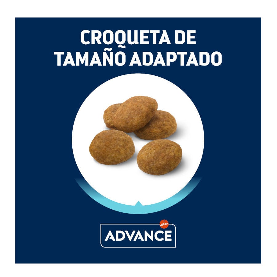 12 kg Advance Active Defense Medium Puppy Pollo y Arroz pienso para perros, , large indicador imagen numero 3