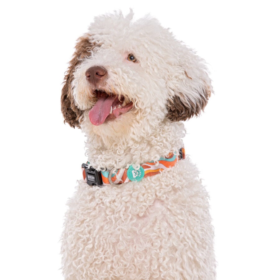 Dukier Peace collar para perros, , large Imagen numero 2