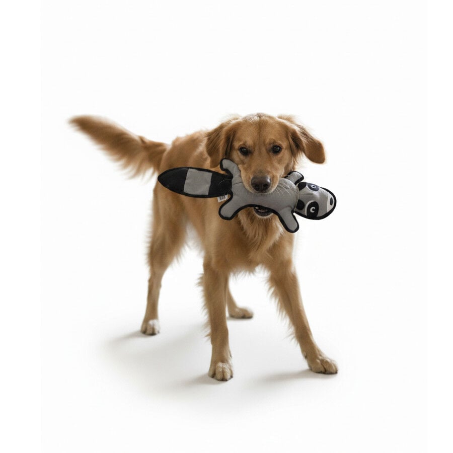 LOVE THE EARTH Peluche Resistente Mapache con Sonido para perros, , large Imagen numero 4