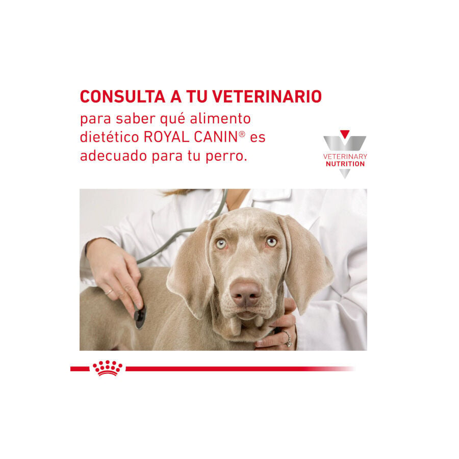 8 kg Royal Canin GastroIntestinal Low Fat pienso para perros peque&ntilde;os, , large indicador imagen numero 8