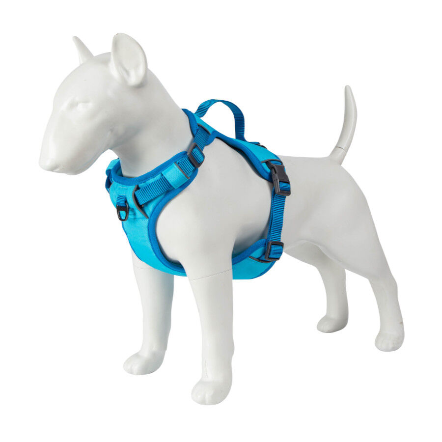 Freedog Cool Pro Tech Arn&eacute;s Refrescante Azul para perros, , large Imagen numero 8