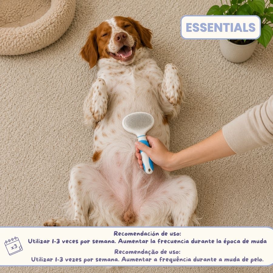 Bloob Cepillo Carda y Cerdas para perros, , large indicador imagen numero 8