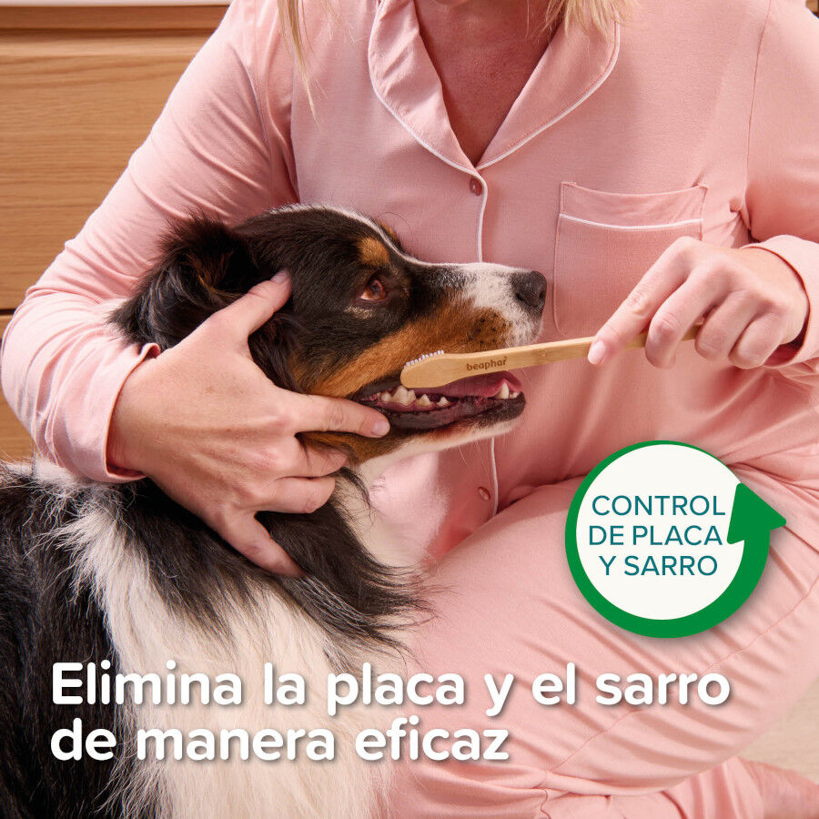 Beaphar Cepillo Dental de Bamb&uacute; para Perros y Gatos, , large indicador imagen numero 7