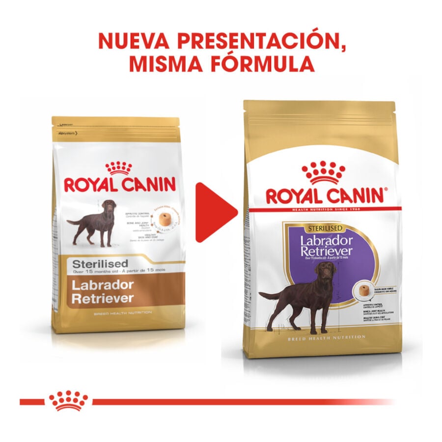 12 kg Royal Canin Adult Labrador Sterilised pienso para perros , , large indicador imagen numero 3