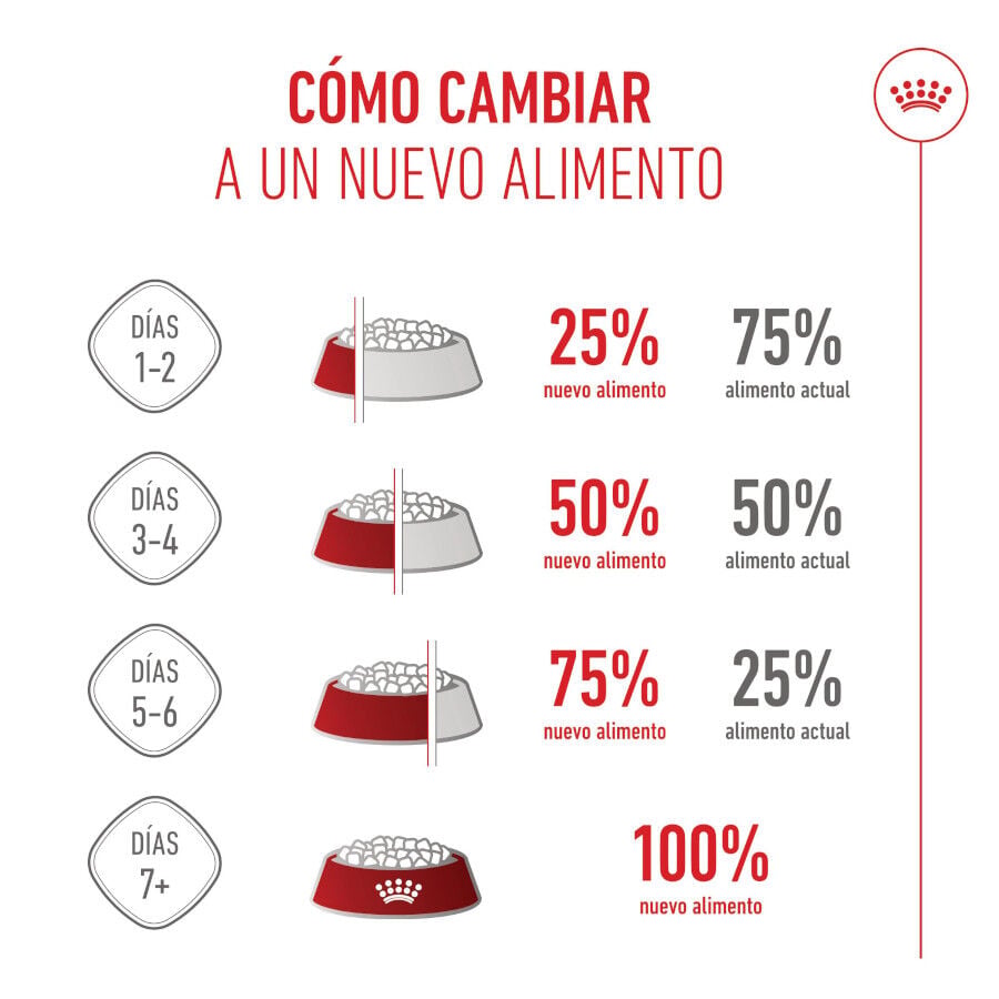 4 kg Royal Canin Mother & Babycat pienso para gatos, , large indicador imagen numero 10