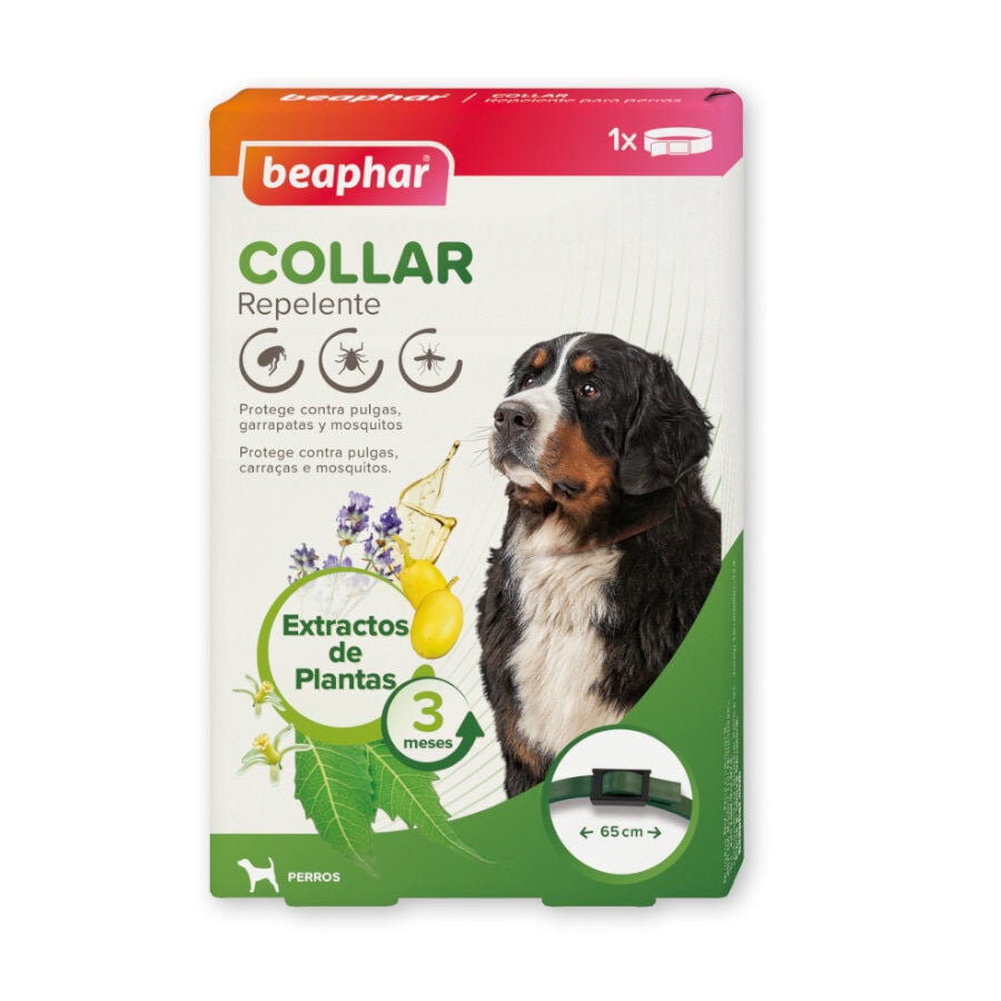 Beaphar Collar repelente para perros, , large Imagen numero 1