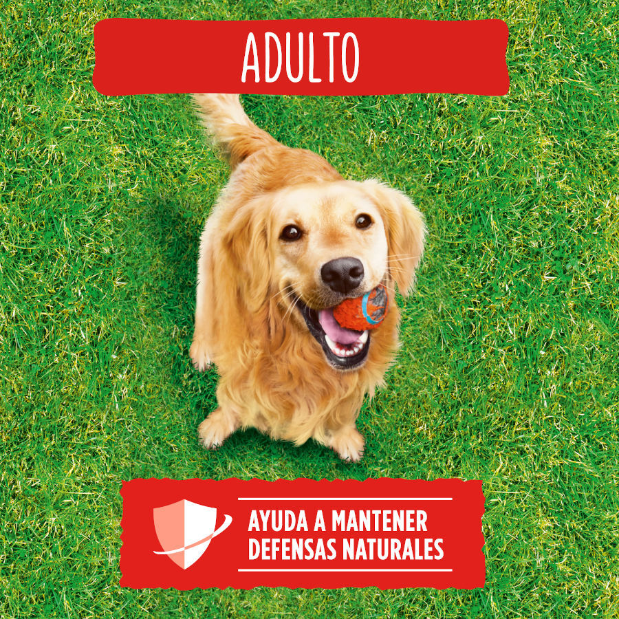 15 kg Friskies Adult Buey y Verduras pienso para perros, , large Imagen numero 3