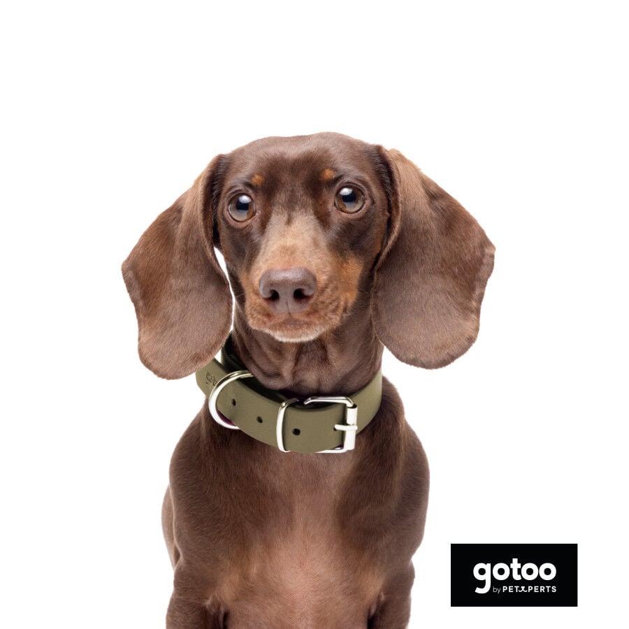 Gotoo Collar Biothane verde oliva para perros, , large Imagen numero 5