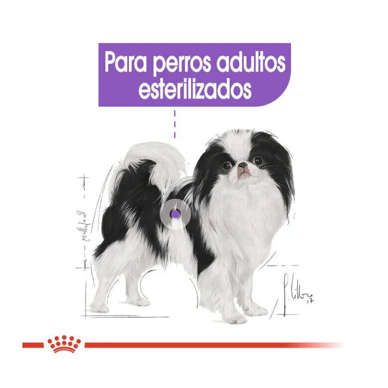 1.5 kg Royal Canin X-Small Sterilised pienso para perros, , large indicador imagen numero 5