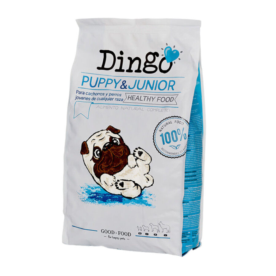 Dingo Puppy y Junior pienso para perros