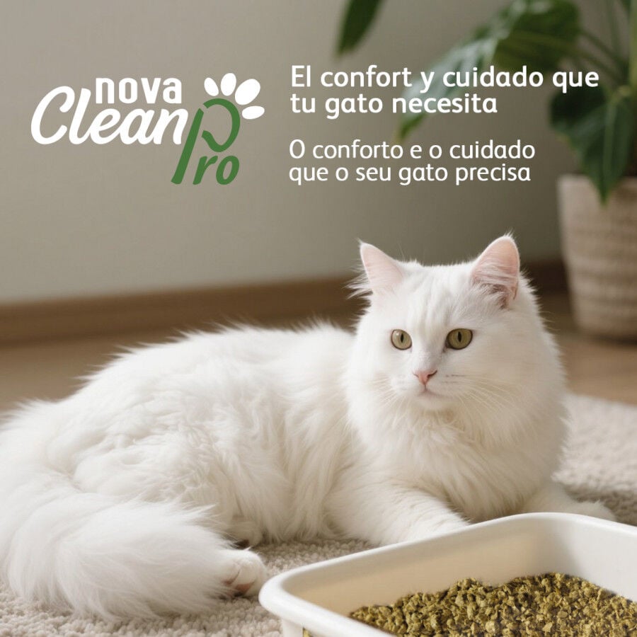 Nova Clean Pro Arena Vegetal para gatos, , large indicador imagen numero 5