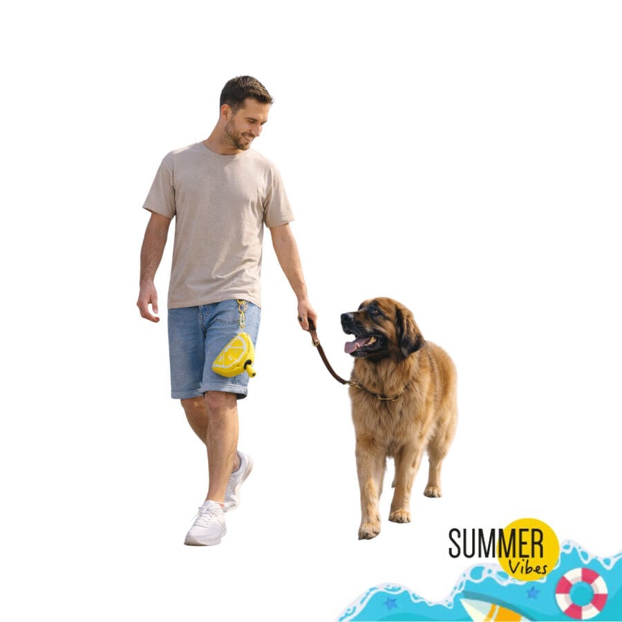 Summer Vibes Porta bolsas Lim&oacute;n para perros, , large Imagen numero 7