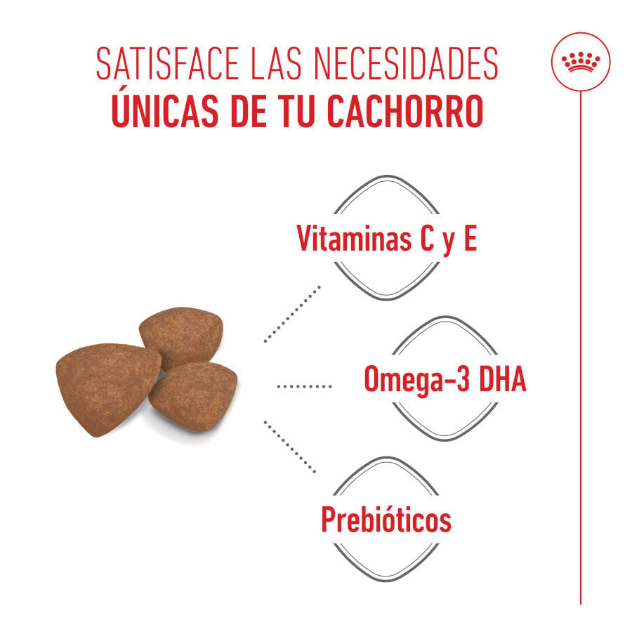 8 kg Royal Canin Mini Puppy pienso para perros, , large Imagen numero 4