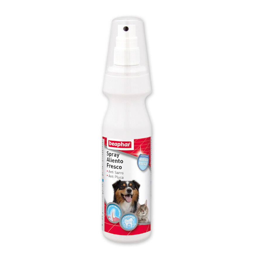 Beaphar pasta de dientes para perros en spray Imagen numero 1