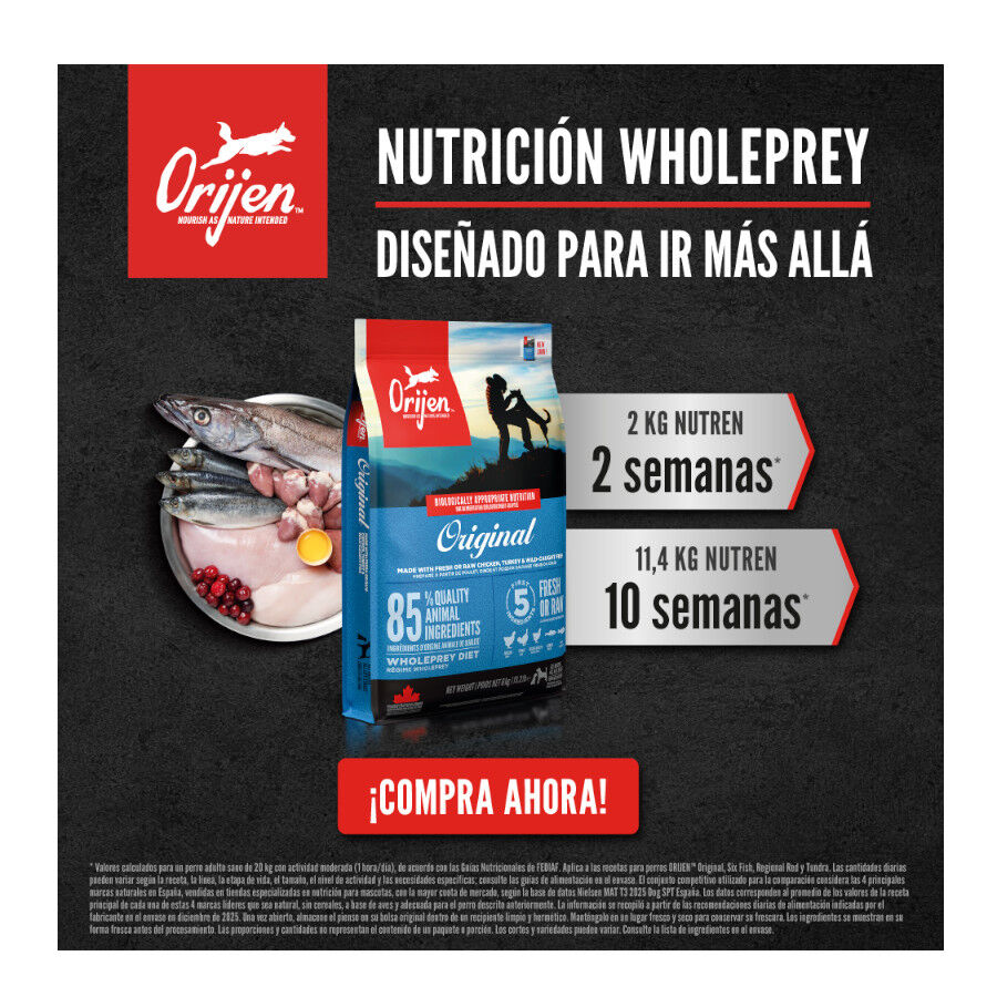 11.4 kg Orijen Adult Regional Red pienso para perros, , large Imagen numero 7