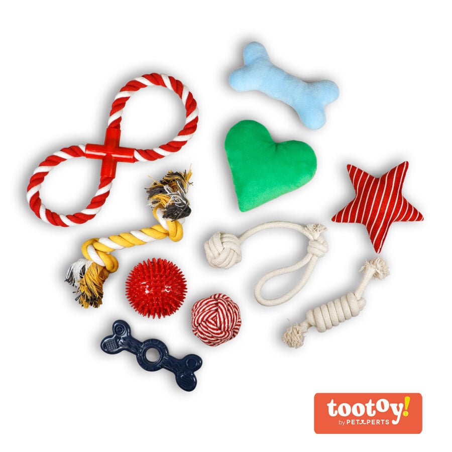 Tootoy! Chew Exploration Toys - Set de juguetes para cachorros, , large Imagen numero 1