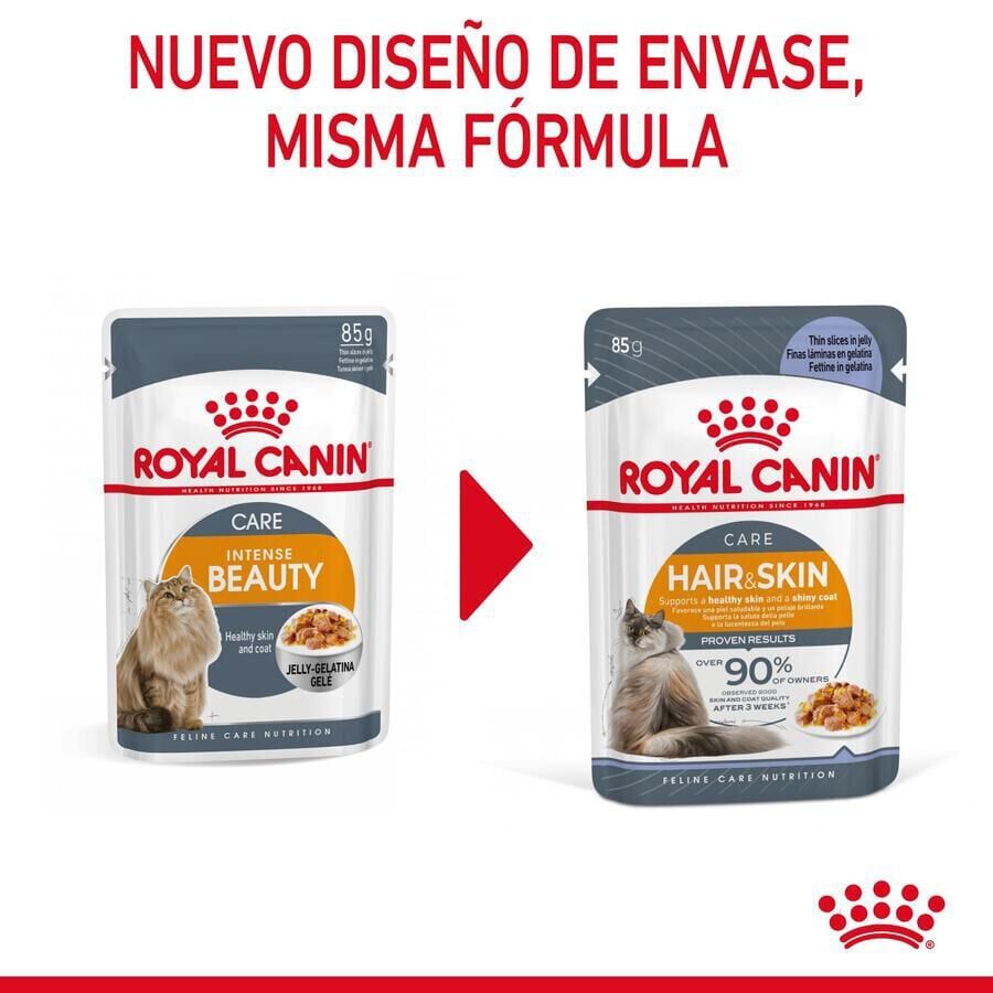85 g Royal Canin Intense Beauty gelatina sobre para gatos, , large Imagen numero 2