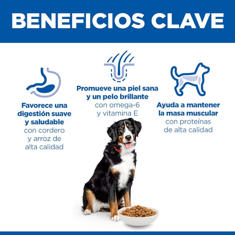 14 kg Hill's Science Plan Adult Large Cordero pienso para perros, , large indicador imagen numero 5