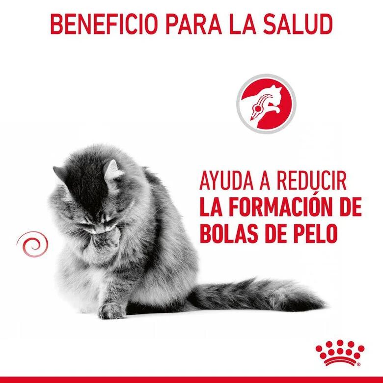85 g Royal Canin Hairball sobre en salsa para gatos, , large indicador imagen numero 4