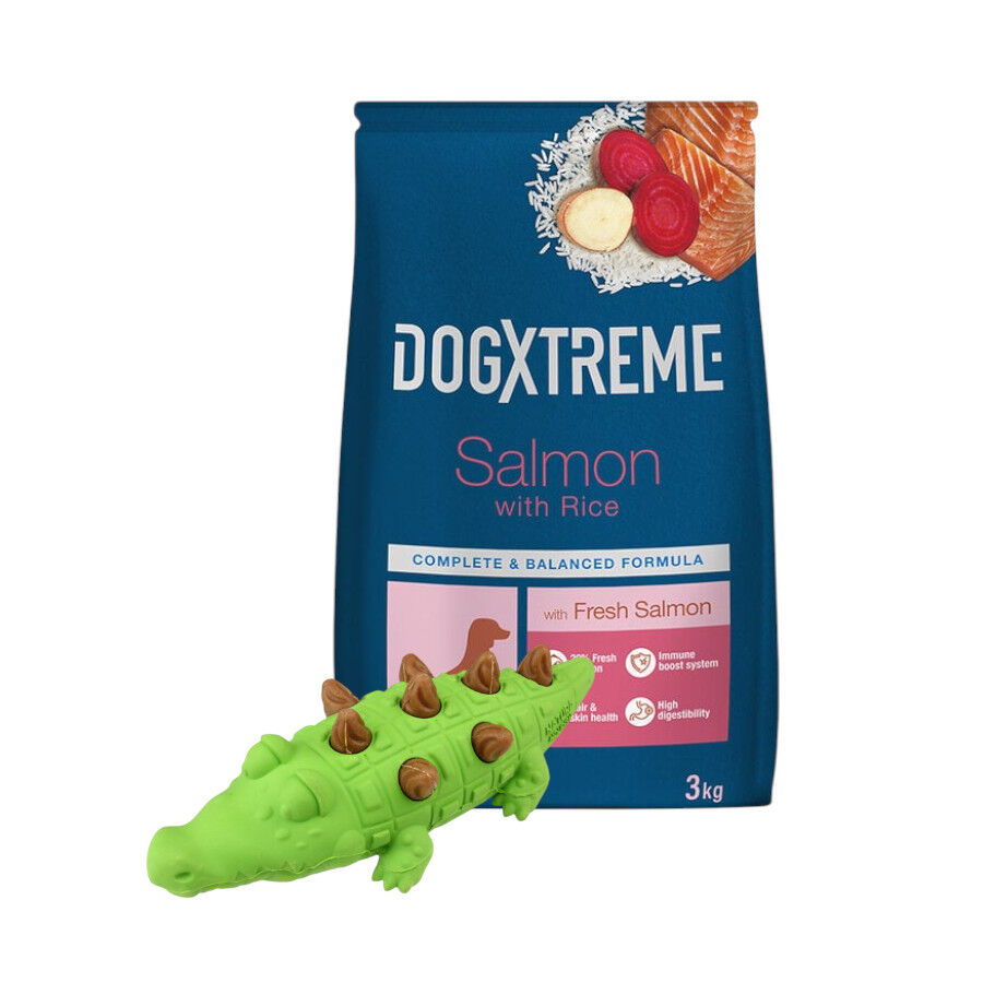 Juguete Mordedor Tootoy! + 3 kg Pienso Dogxtreme Adult Mini Salm&oacute;n para perros &iexcl;Pack Ahorro!, , large Imagen numero 1