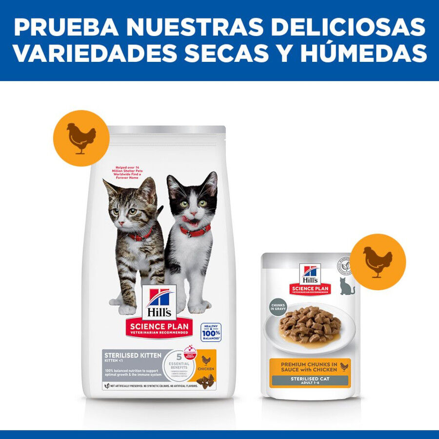 3 kg Hill's Science Plan Sterilised Kitten Pollo pienso para gatos, , large Imagen numero 8