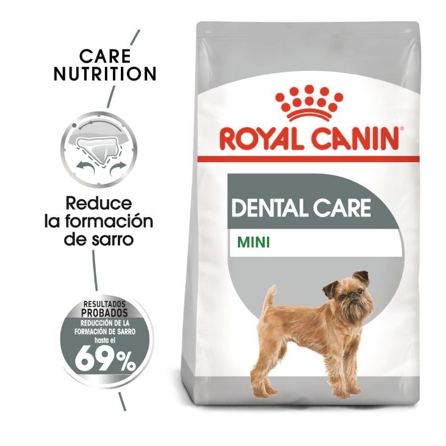 3 kg Royal Canin Dental Care Mini pienso para perros, , large indicador imagen numero 2
