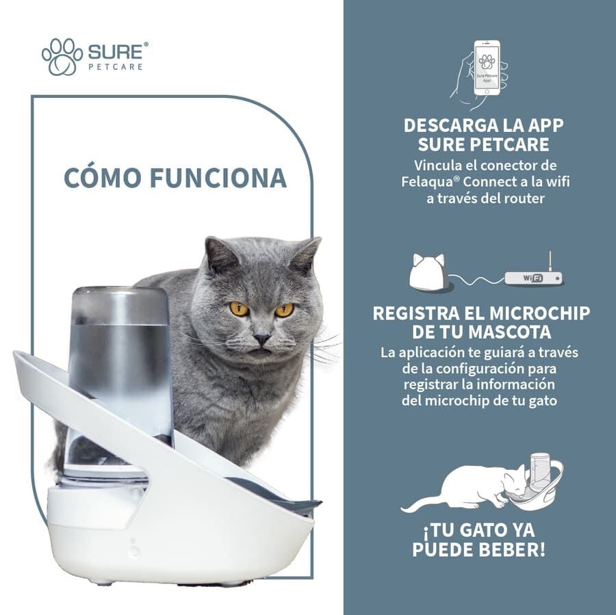 Sure Petcare Felaqua Connect Bebedero Autom&aacute;tico para gatos Imagen numero 3