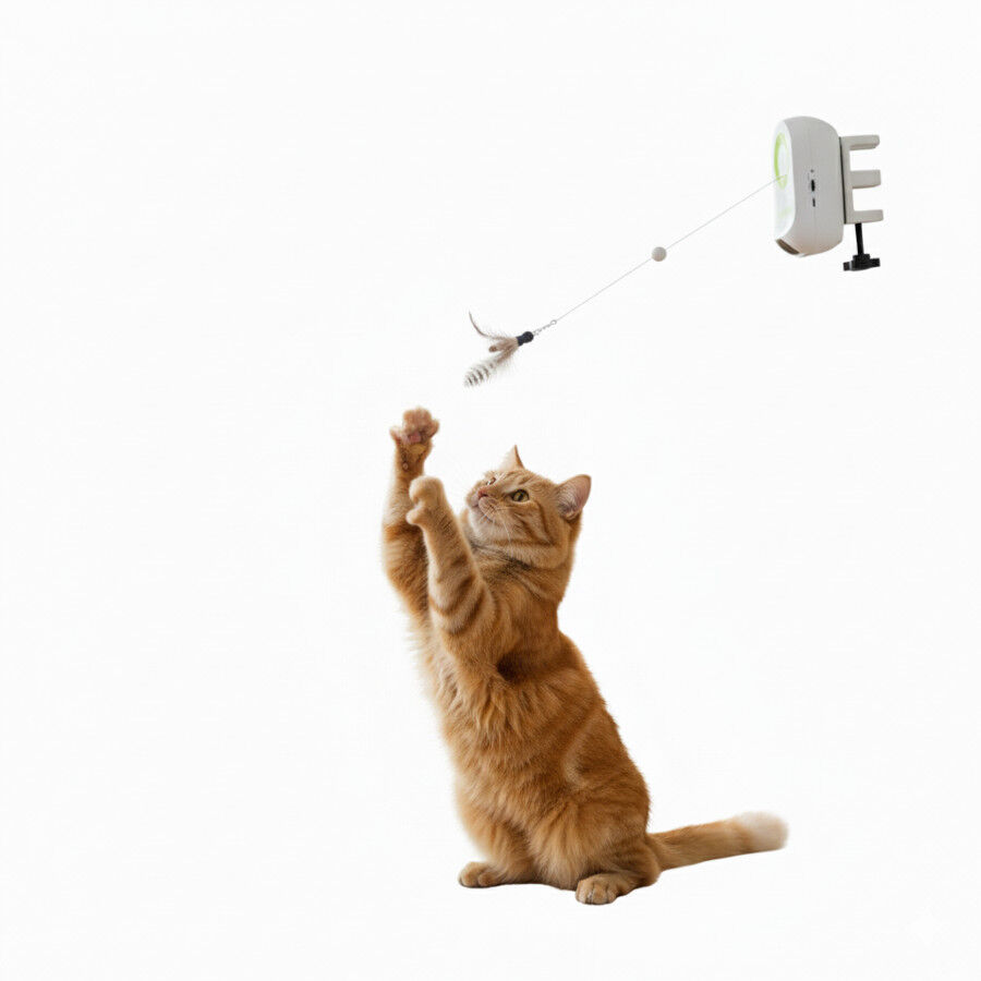 All For Paws Interactives Juguete Yoyo Bug para gatos, , large indicador imagen numero 3