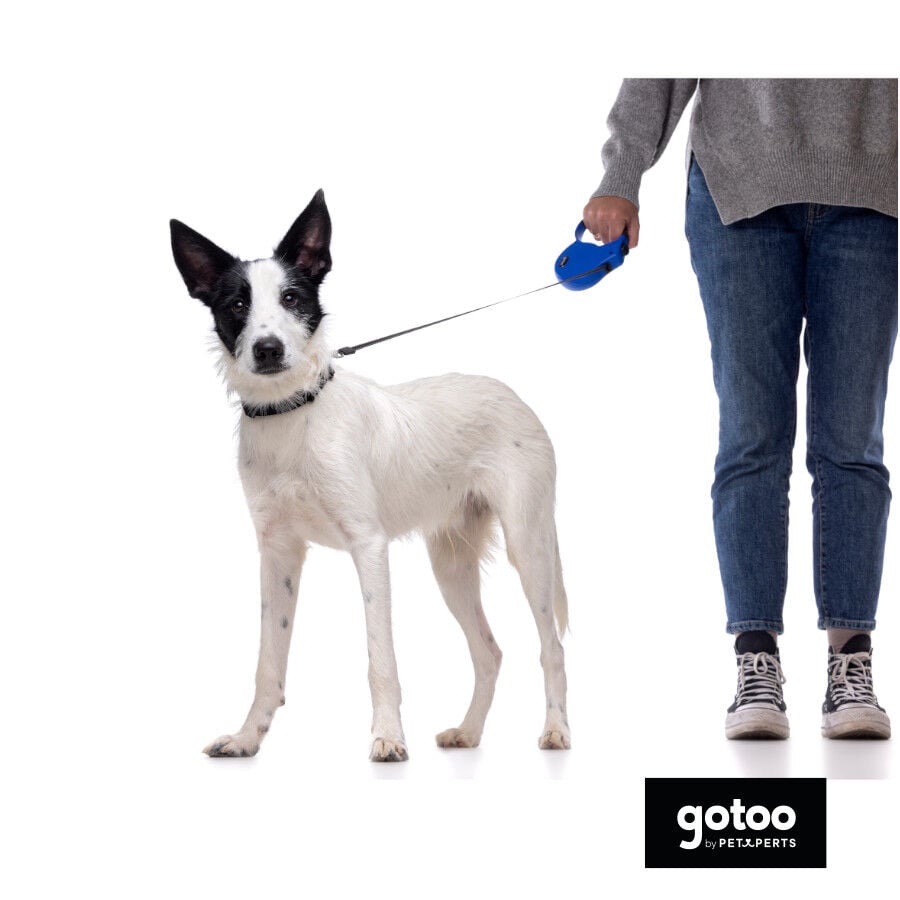 Gotoo Collar de nylon negro para perros, , large Imagen numero 4