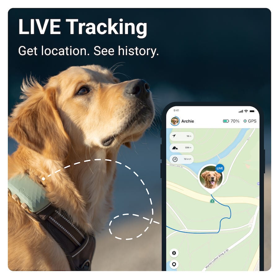Tractive GPS Localizador XL para perros, , large indicador imagen numero 2