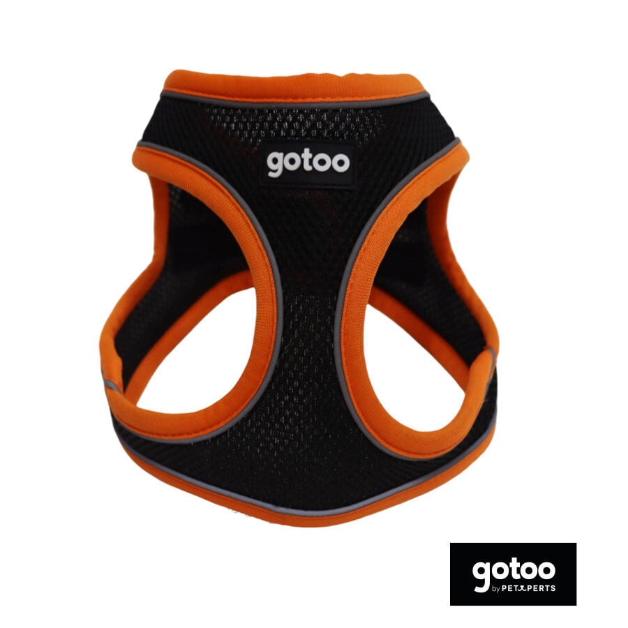 Gotoo Arn&eacute;s ajustable de malla  naranja/negro para perros, , large indicador imagen numero 1