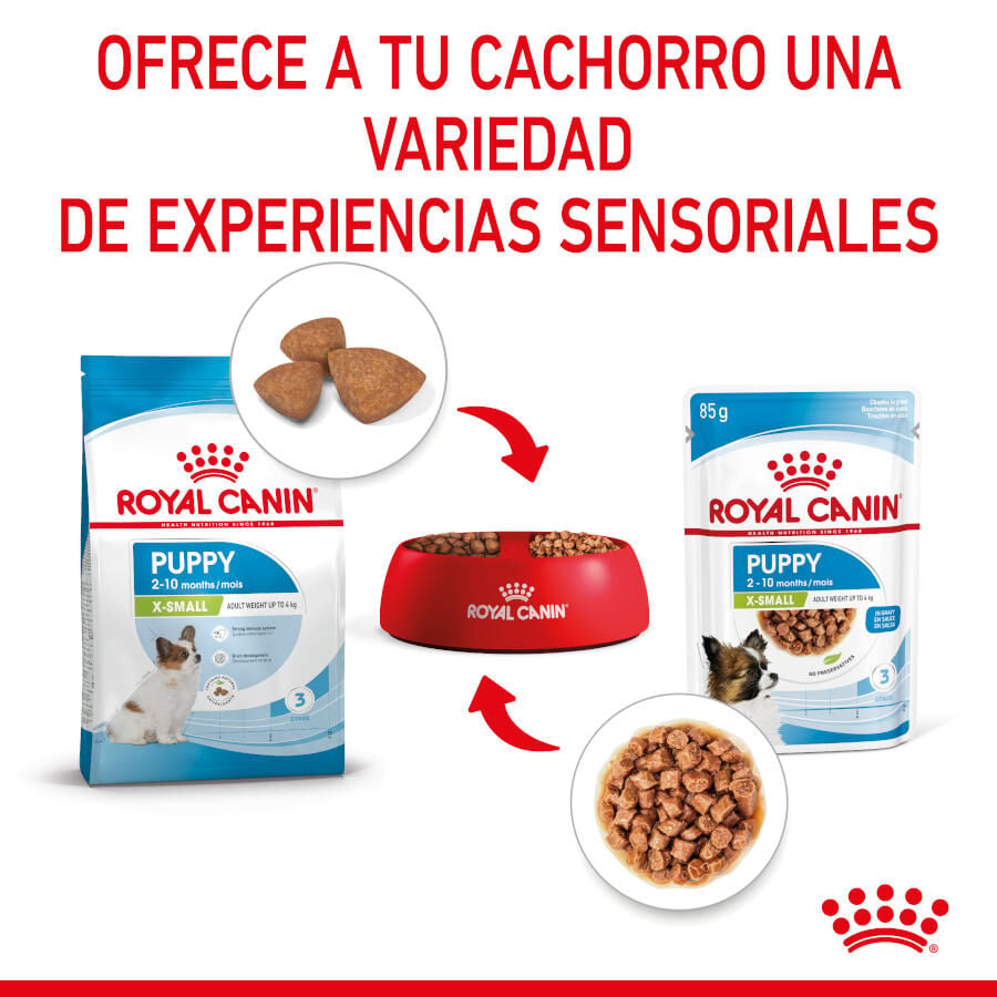 85 g Royal Canin X-Small Puppy Trocitos en Salsa sobre para perros, , large Imagen numero 7