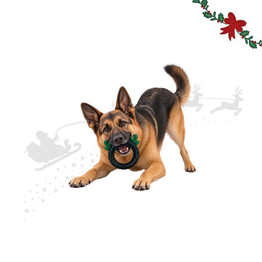 Wonder Christmas Aro de Reno Juguete para perros, , large indicador imagen numero 1