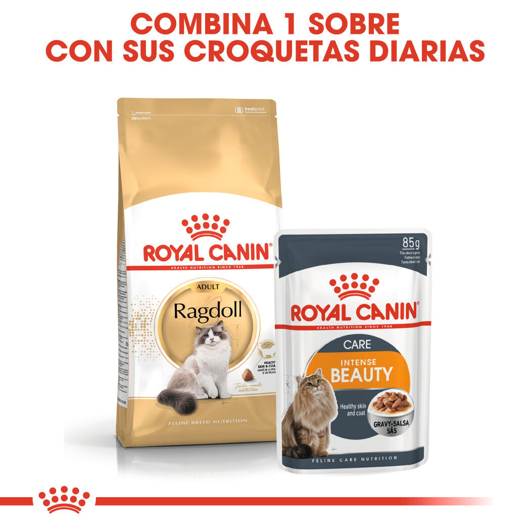 2 kg Royal Canin Adult Ragdoll pienso para gatos, , large Imagen numero 6