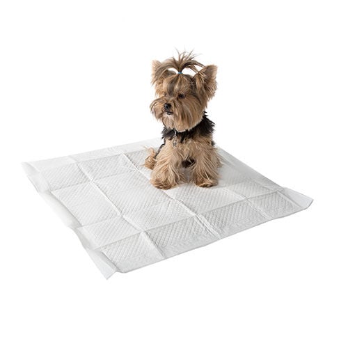 TK Pet lim&oacute;n empapadores para perros Imagen numero 1