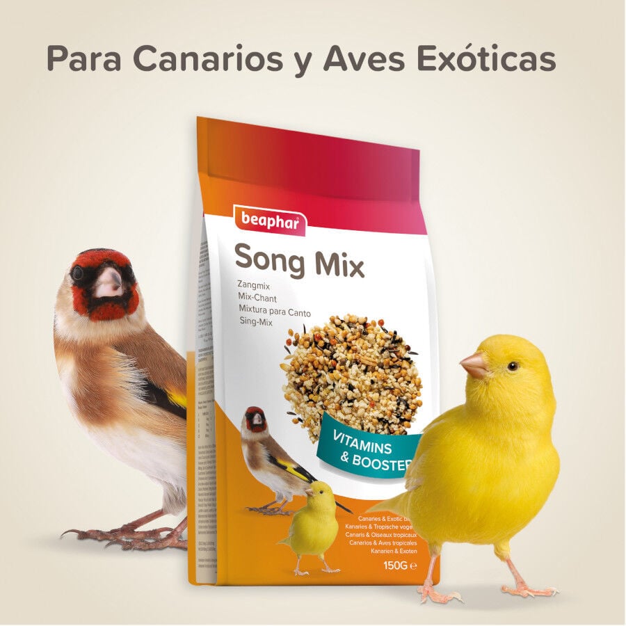 Beaphar Mixtura Estimulante de canto para p&aacute;jaros, , large indicador imagen numero 5