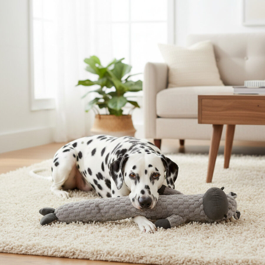 Tootoy! Hipop&oacute;tamo Largo de Peluche con Sonido para perros, , large indicador imagen numero 1